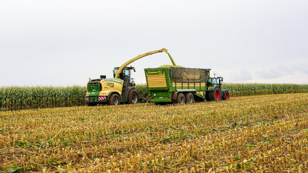 tractor-harvesting-corn-in-lutau-germany-34239949 Combine harvester and tractor working in a cornfield during harvest season in Lütau, Germany.